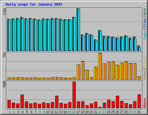 Daily usage for January 2022