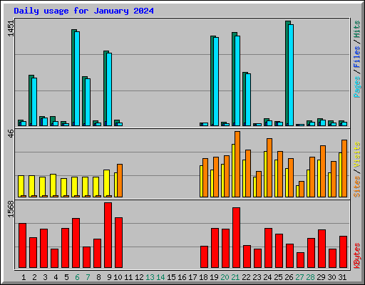 Daily usage for January 2024