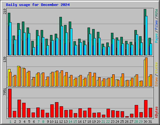 Daily usage for December 2024