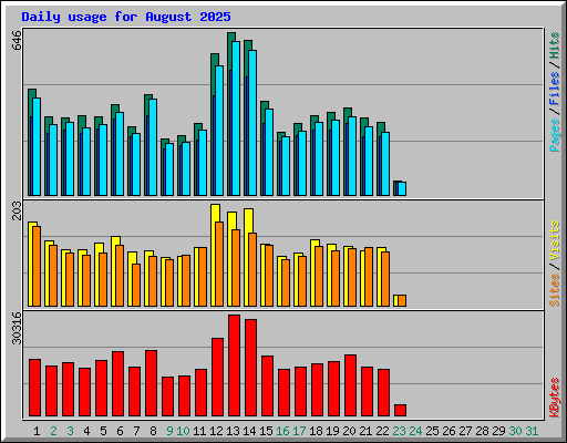 Daily usage for August 2025
