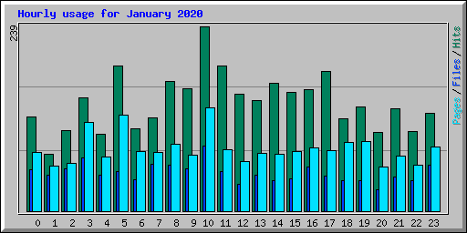 Hourly usage for January 2020