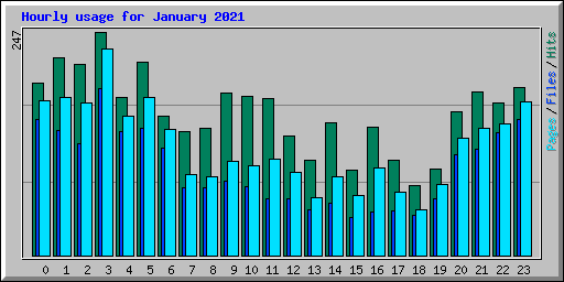 Hourly usage for January 2021