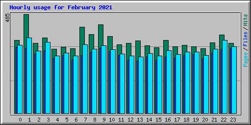 Hourly usage for February 2021