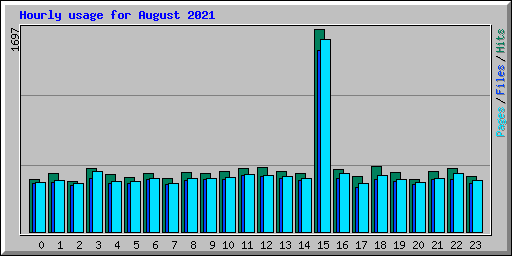 Hourly usage for August 2021