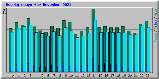 Hourly usage for November 2021