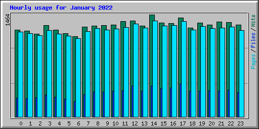 Hourly usage for January 2022