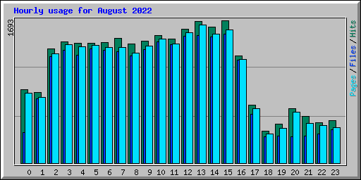 Hourly usage for August 2022