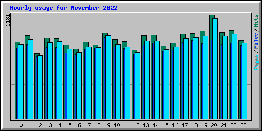 Hourly usage for November 2022