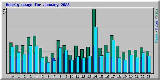 Hourly usage for January 2023