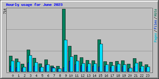 Hourly usage for June 2023