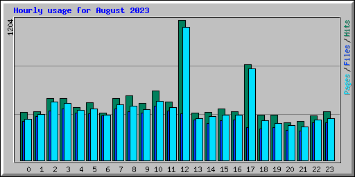 Hourly usage for August 2023