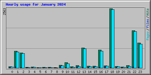 Hourly usage for January 2024