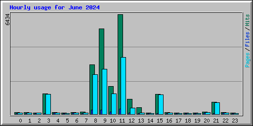 Hourly usage for June 2024