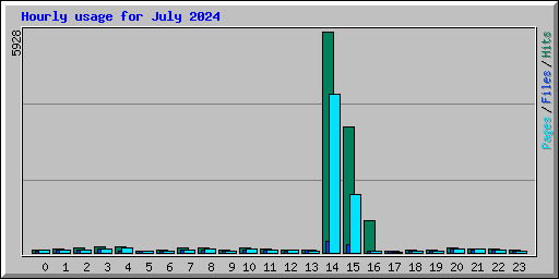 Hourly usage for July 2024
