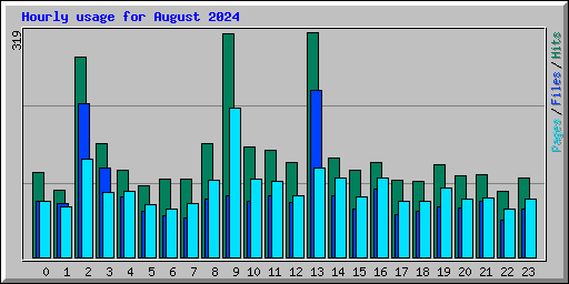 Hourly usage for August 2024