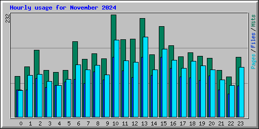 Hourly usage for November 2024