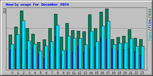 Hourly usage for December 2024