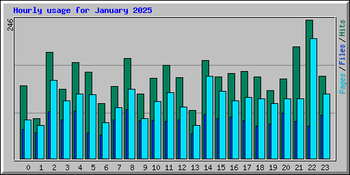 Hourly usage for January 2025