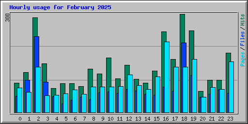 Hourly usage for February 2025