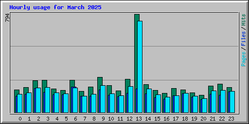 Hourly usage for March 2025