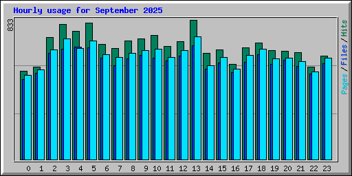 Hourly usage for September 2025