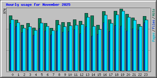 Hourly usage for November 2025