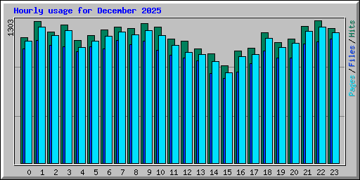 Hourly usage for December 2025