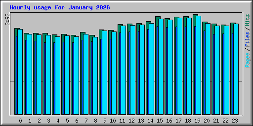 Hourly usage for January 2026