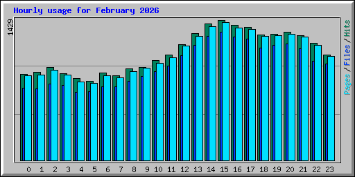 Hourly usage for February 2026