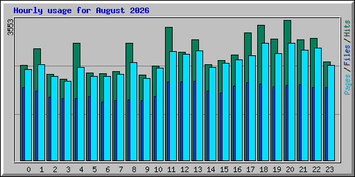 Hourly usage for August 2026